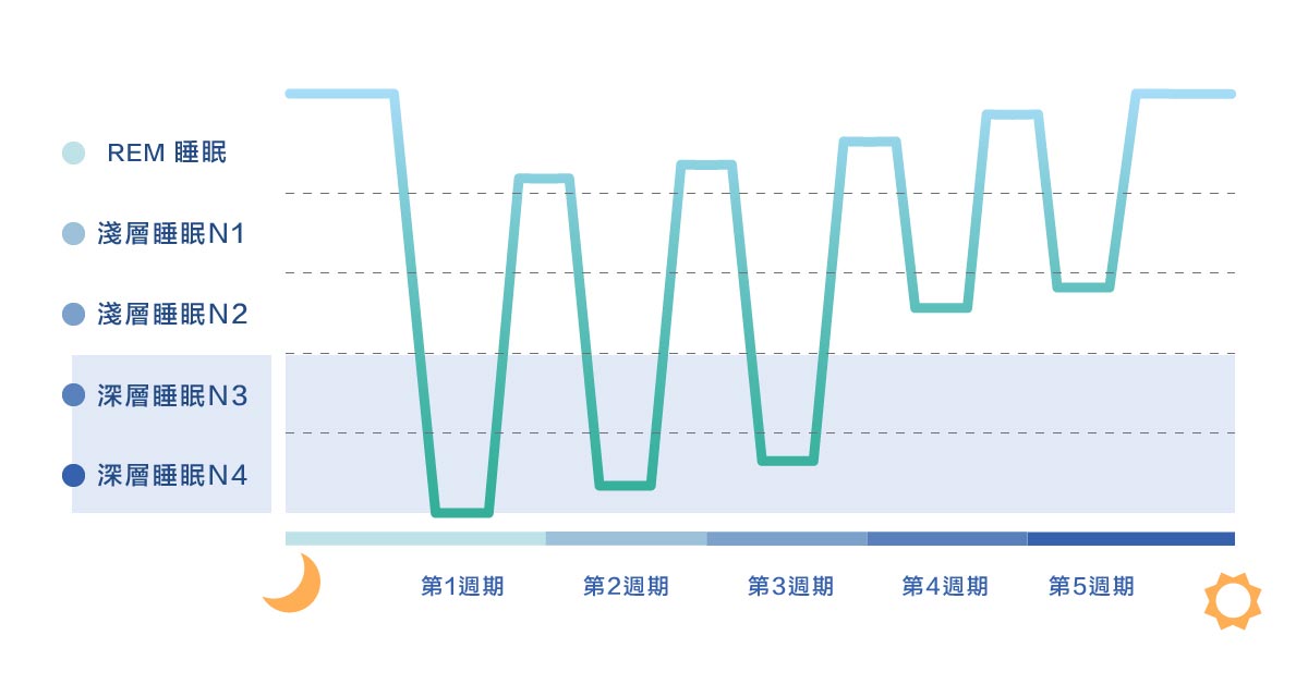 深層睡眠不足怎麼判斷？成年人深層睡眠比例、時間多長？